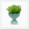 White Vase