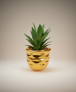 Small Potted Plant