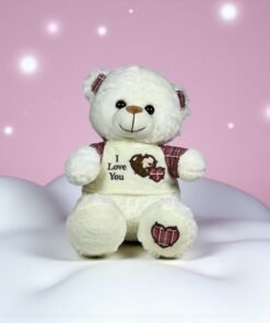 Lovable Teddy Bear Plush