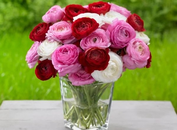 How to Keep Fresh Flower Bouquets Alive Longer